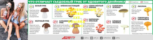 спайс Алзамай