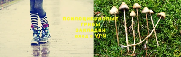 сатива Алексин