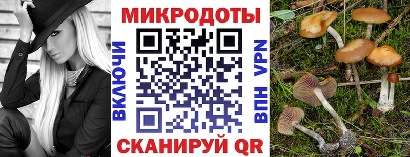 Псилоцибиновые грибы MAGIC MUSHROOMS  где можно купить наркотик  Ахтырский 